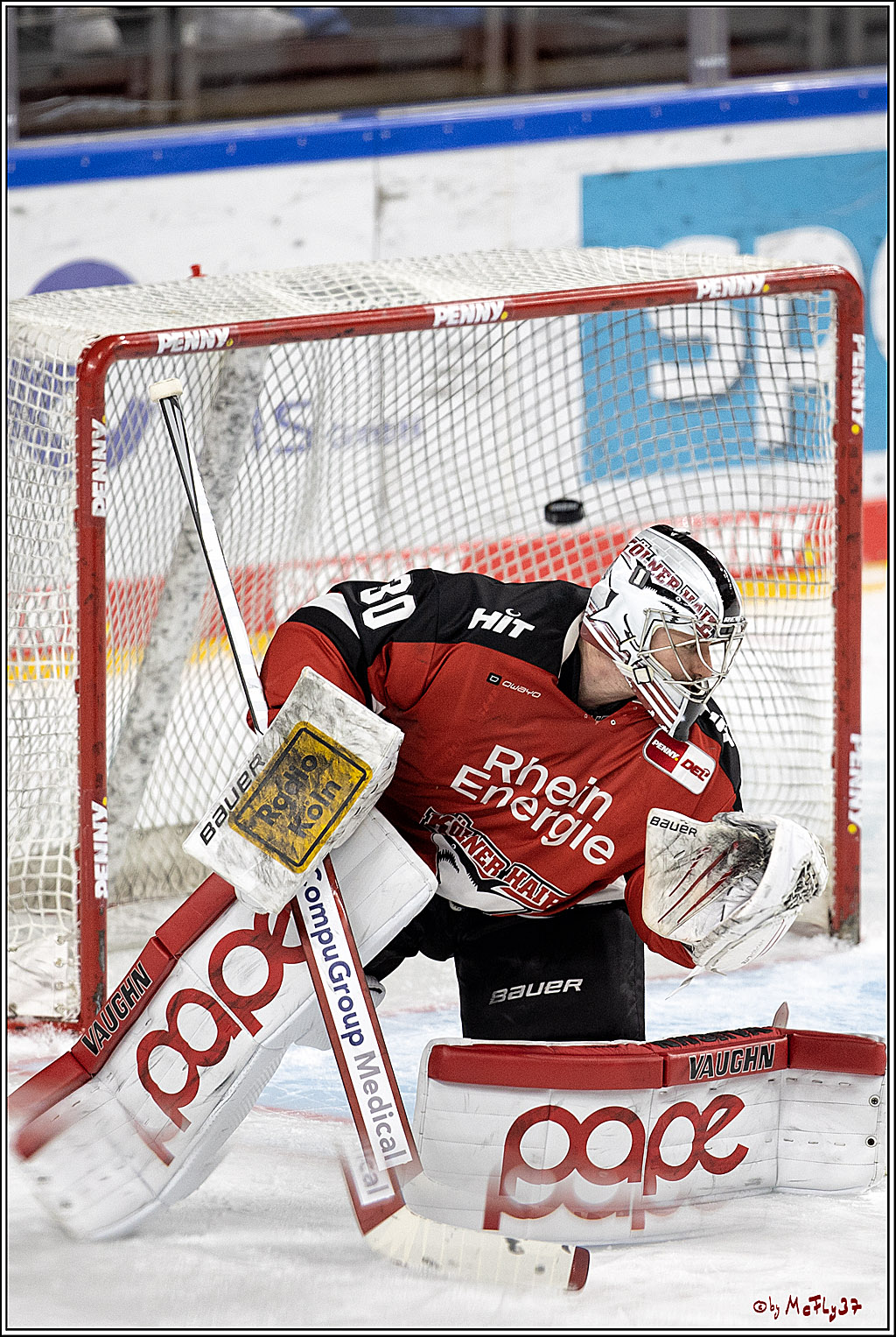 PENNY DEL;  Koelner Haie - Straubing Tigers; Koeln, 11.03.2022